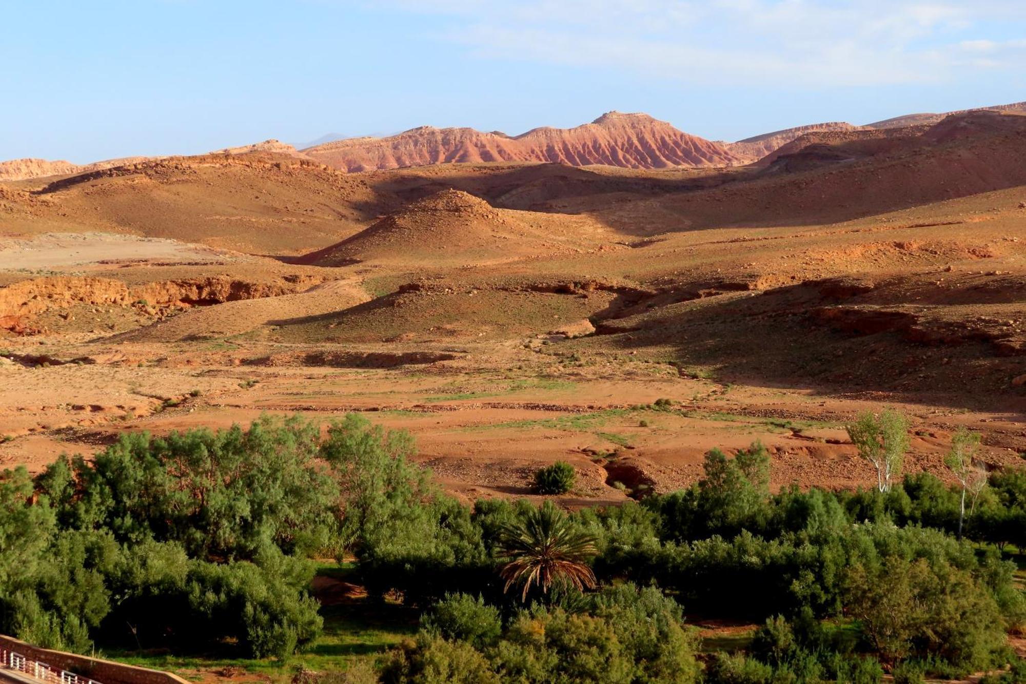 Tigmi Hamid Decouverte Des Traditions Et De La Culture Berbere Ait Benhaddou Exterior foto